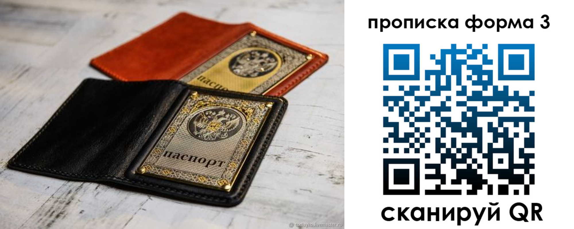 временная регистрация гарантия в Мончегорске