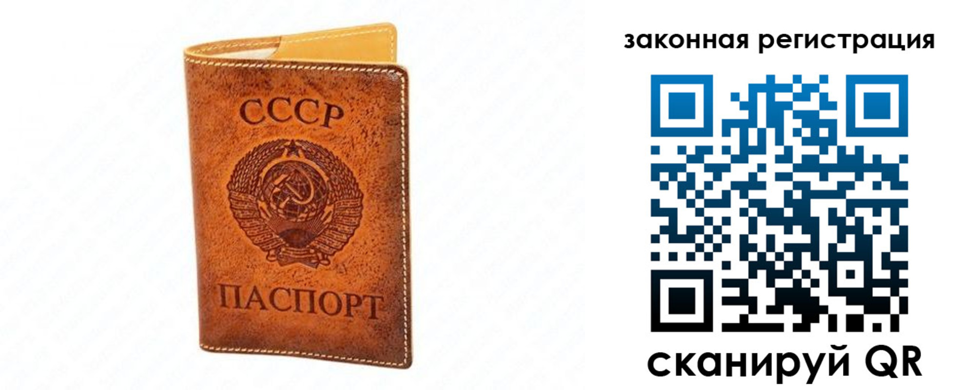 прописка паспорт в Мончегорске