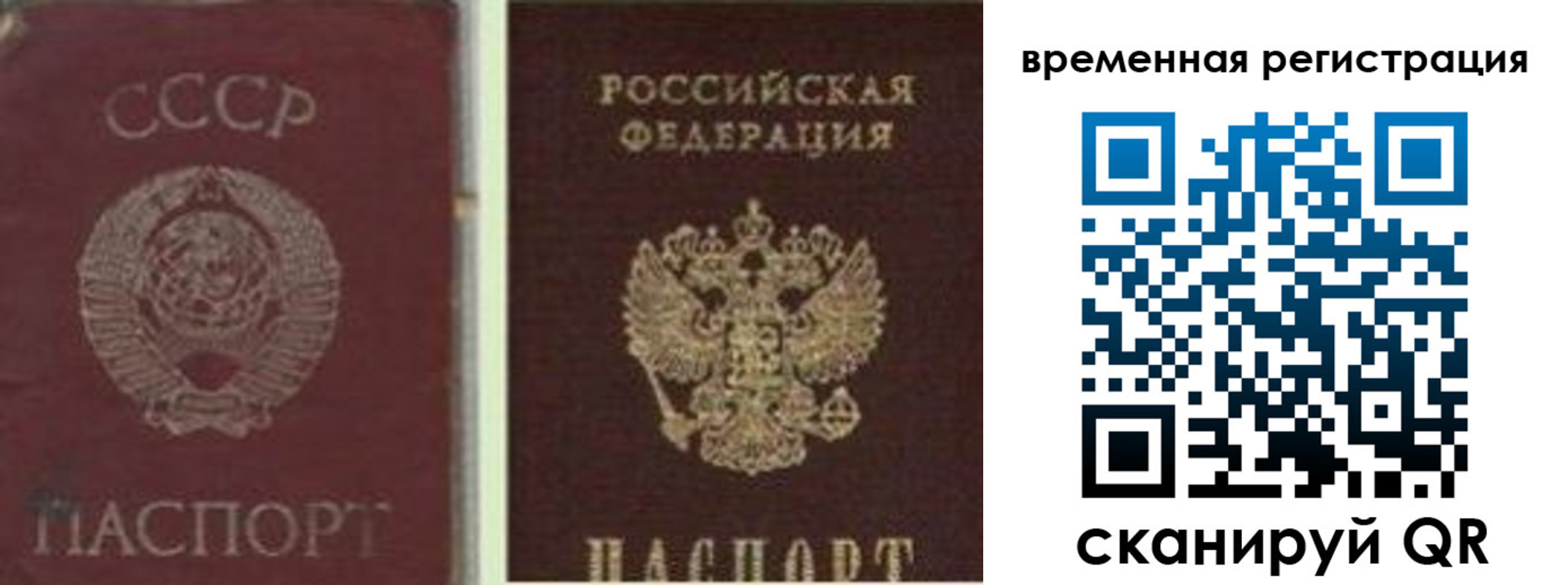 найти адрес прописки в Мончегорске